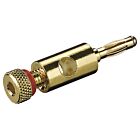 4mm Gullegert bananplugg med skrukontakt (Rød)