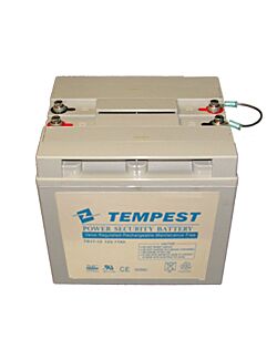 Golftrallebatteri AGM 24V 18Ah WP20-24E